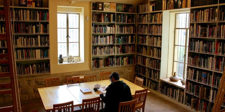 🔶 7 things I learned from writing a weekly newsletter for one year