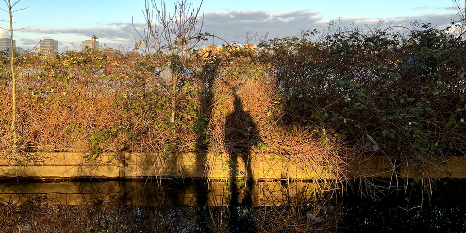 🔶 #09: "How journalism can win hearts and minds again."