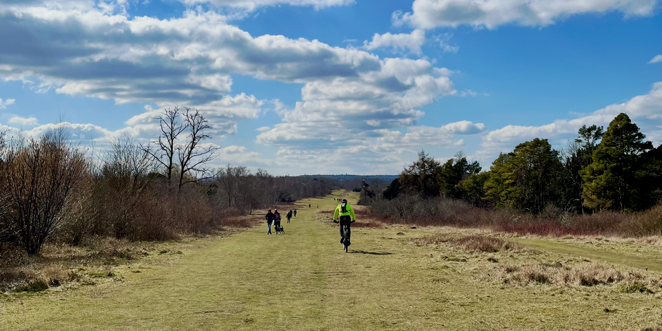 🔶 #11: "We must embrace the next generation of news consumers and creators"