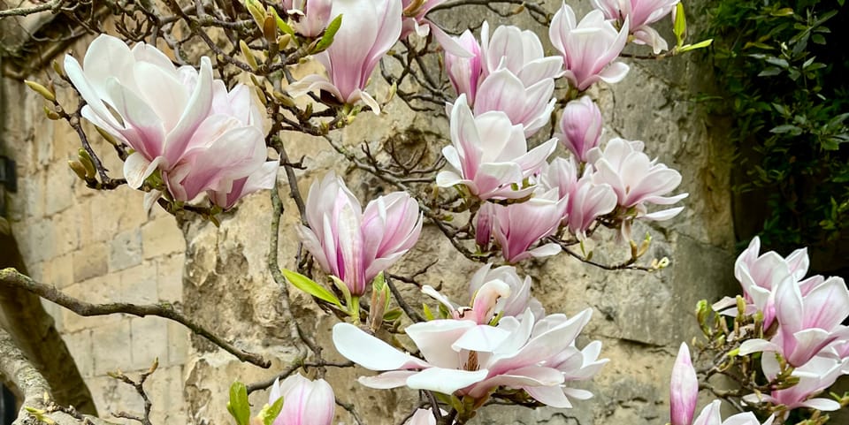 🔶 #12: "The main problem with journalism isn't AI or digital transformation, it's its relevance gap."