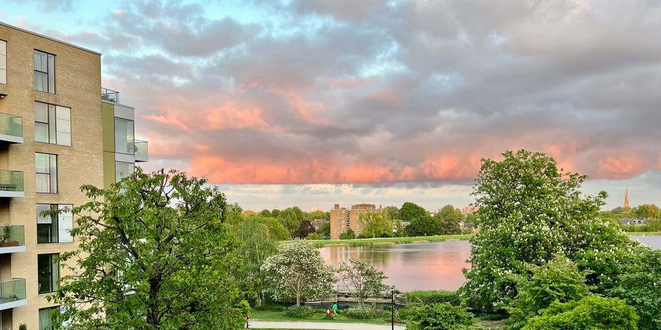 🔶 #19: "Local journalism is in the wrong business"