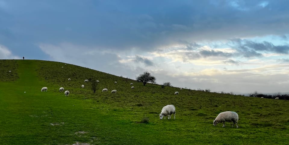 🔶 #46: "What actually makes for a *good* news experience?"