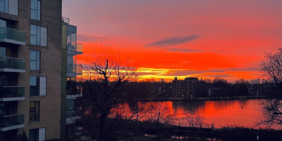 🔶 #50: RISJ's Trends & Predictions. What else?