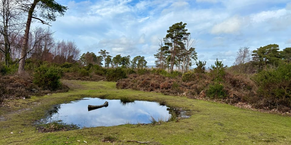 🔶 #52: "Better engagement is about better habits, not more creative ideas."