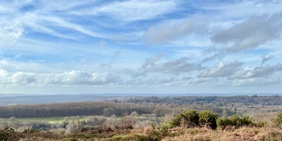 🔶 #53: "Anticipating the audiences of 2030 and the strategies to meet them"